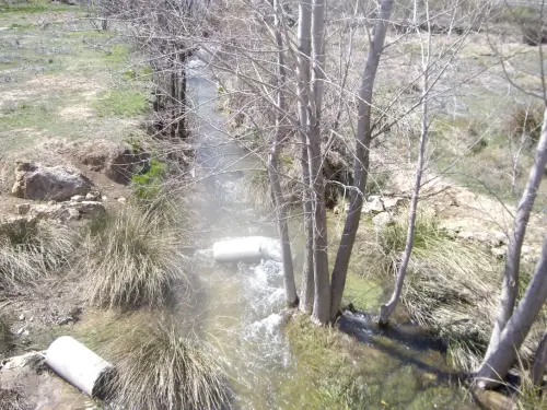 Rios022-Rio-Miron-cerca-de-Balazote