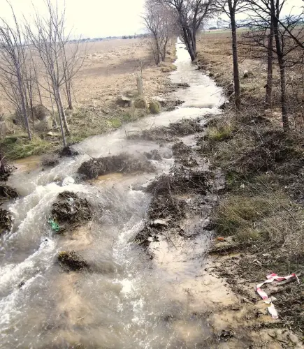 Rios023-Rio-Miron-cerca-de-Balazote