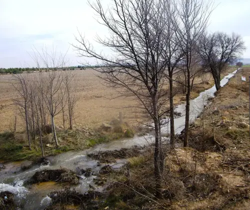 Rios024-Rio-Miron-cerca-de-Balazote