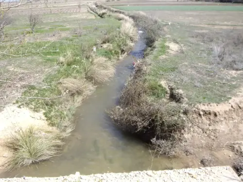 Rios024a-Rio-Miron-cerca-de-Balazote
