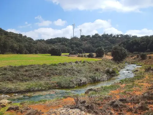 Rios025-los-Regajos-cabecera-del-rio-Jardin