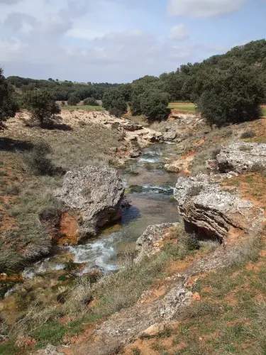 Rios026-los-Regajos-cabecera-del-rio-Jardin