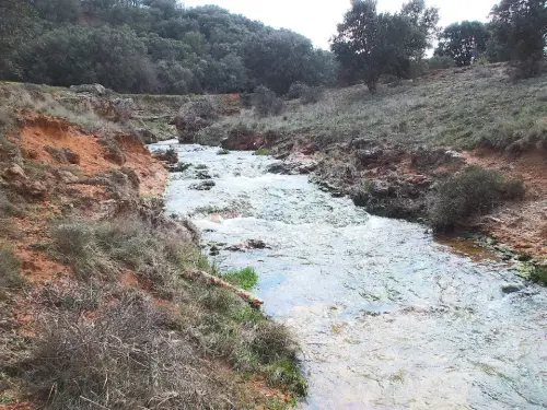 Rios027-los-Regajos-cabecera-del-rio-Jardin