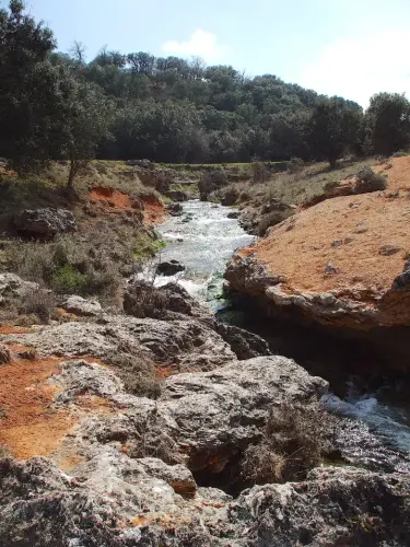 Rios028-los-Regajos-cabecera-del-rio-Jardin