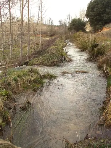 Rios029-Arroyo-de-Canagila-cabecera-del-rio-Jardin