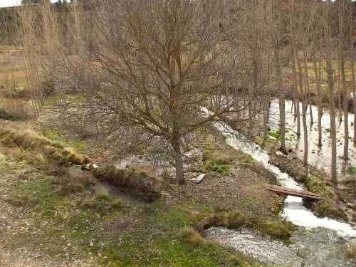 Rios030-Arroyo-de-Canagila-cabecera-del-rio-Jardin