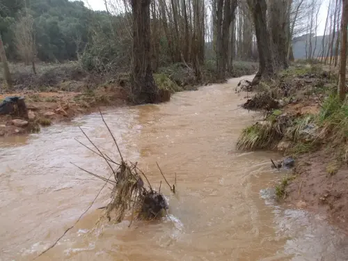 Rios032a-Prejon-inicio-del-rio-Cubillo-cabecera-del-rio-Jardin