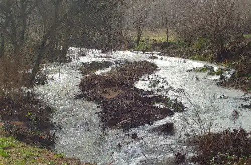 Rios033-Las-Torrenteres-inicio-del-rio-Cubillo-cabecera-del-rio-Jardin