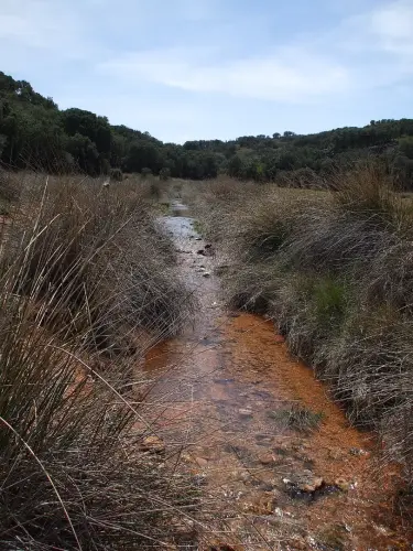 Rios035-Fuente-del-Hocino-inicio-del-rio-Cubillo-cabecera-del-rio-Jardin