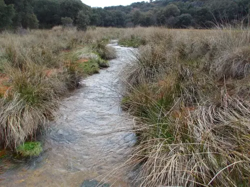 Rios036-Fuente-del-Hocino-inicio-del-rio-Cubillo-cabecera-del-rio-Jardin