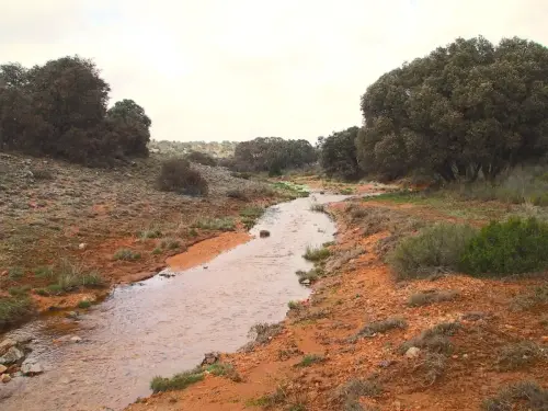 Rios037-Fuente-del-Cubi-inicio-del-rio-Cubillo-cabecera-del-rio-Jardin