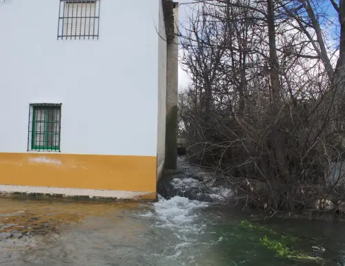 Rios038-Arroyo-del-Campillo-Rio-Jardin