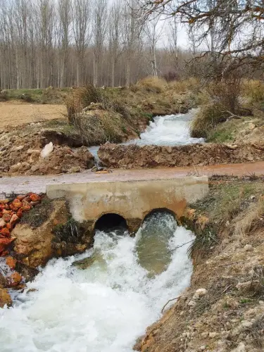 Rios038b-Arroyo-del-Campillo-Rio-Jardin