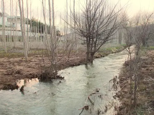 Rios040-Rio-del-Cubillo-en-los-Chospes-Vinculo-Rio-Jardin