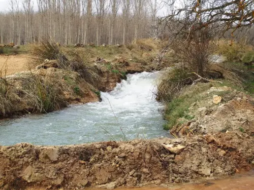 Rios041-Rio-del-Cubillo-en-los-Chospes-Vinculo-Rio-Jardin