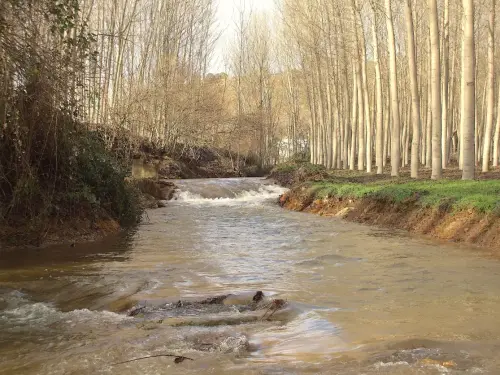 Rios042-Rio-del-Cubillo-en-los-Chospes-Vinculo-Rio-Jardin