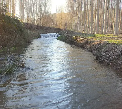 Rios042a-Rio-del-Cubillo-en-los-Chospes-Vinculo-Rio-Jardin