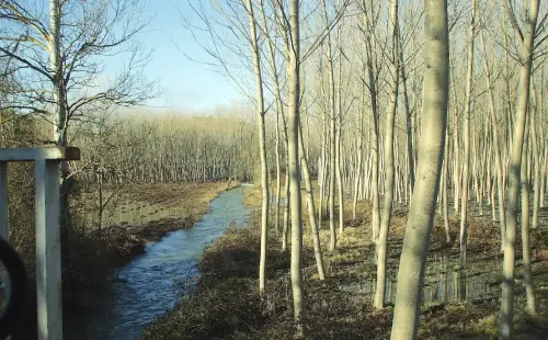 Rios042b-Rio-del-Cubillo-en-los-Chospes-Vinculo-Rio-Jardin