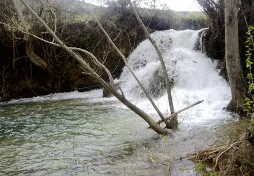 Rios048-Rio-del-Arquillo