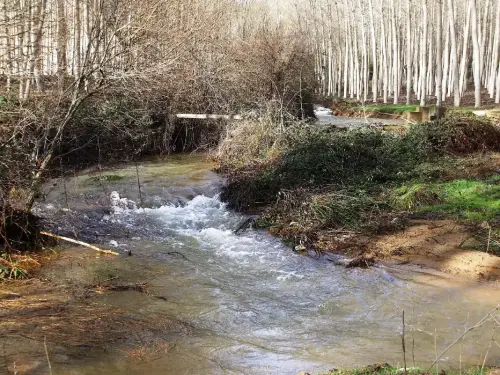 Rios048b-Rio-del-Arquillo