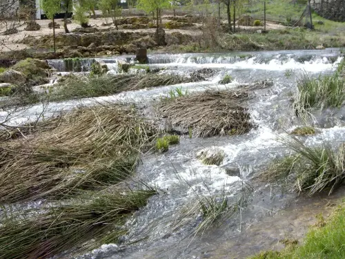 Rios048ll-Rio-del-Arquillo