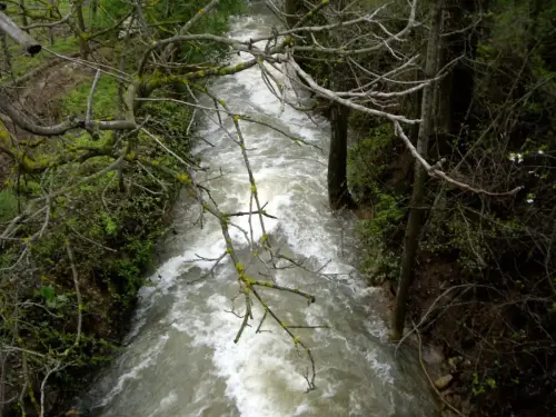 Rios048n-Rio-del-Arquillo (1)