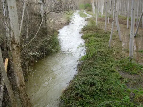 Rios048o-Rio-del-Arquillo