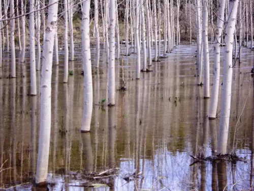 Rios052-Rio-del-Jardin