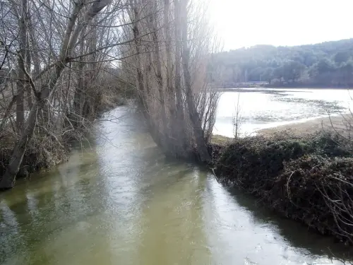 Rios055-Rio-del-Jardindesbordamiento