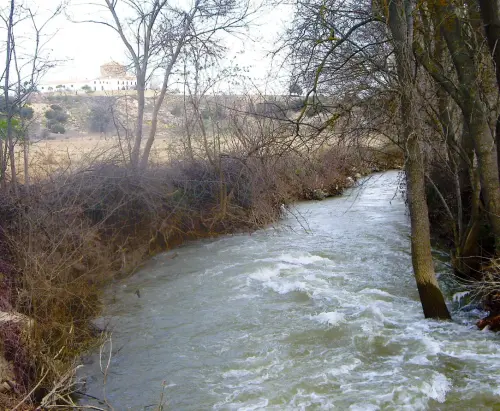 Rios058-Rio-del-Jardincerca-de-Balazote