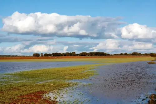 Rios059-Rio-Jardin-en-Balazote