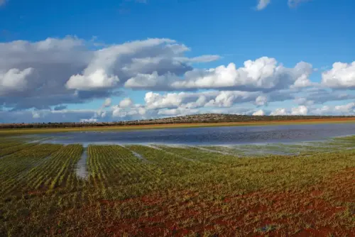 Rios060-Rio-Jardin-en-Balazote