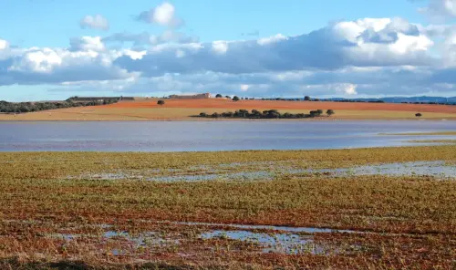 Rios061-Rio-Jardin-en-Balazote