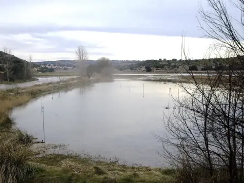 Rios061a-Rio-Jardin-en-Balazote