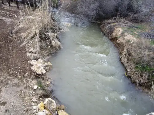 Rios061b-Rio-Jardin-en-Balazote