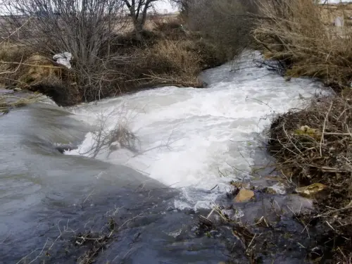 Rios061c-Rio-Jardin-en-Balazote