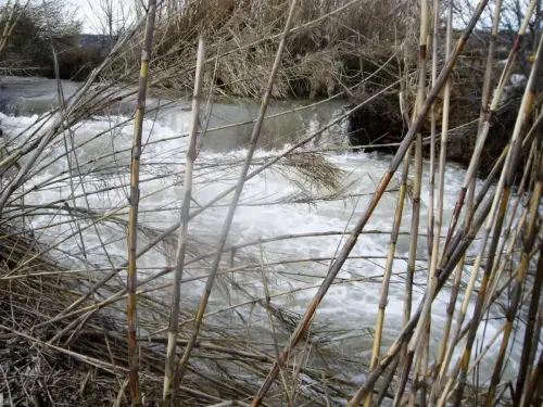 Rios061d-Rio-Jardin-en-Balazote