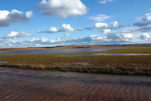 Rios061e-Rio-Jardin-en-Balazote