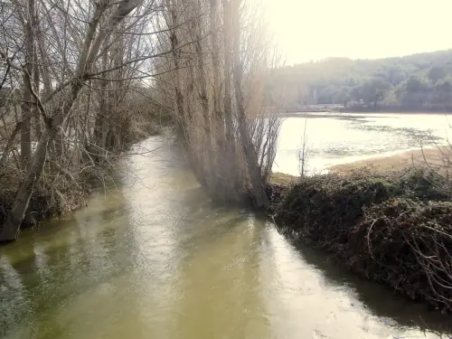 Rios061f-Rio-Jardin-en-Balazote