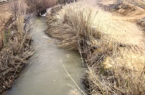 Rios061g-Rio-Jardin-en-Balazote