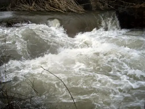 Rios061h-Rio-Jardin-en-Balazote