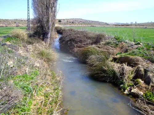 Rios062-Rio-Lezuza-al-pasar-Tiriez