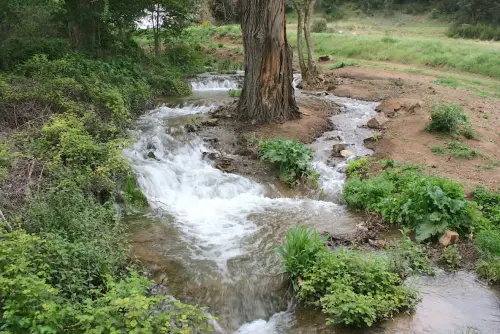 Rios071a-Arroyo-Alarconcillo-Ossa-Montiel