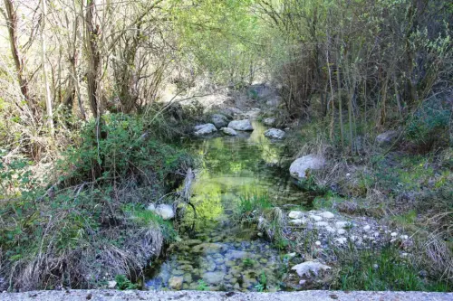 Rios071b-Arroyo-Alarconcillo-Ossa-Montiel