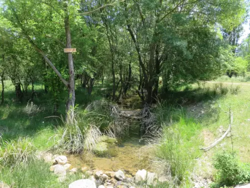 Rios071c-Arroyo-Alarconcillo-Ossa-Montiel