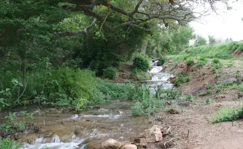 Rios072-Arroyo-Alarconcillo-en-Las-Lagunas