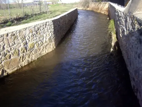 Rios073-Arroyo-Alarconcillo-en-Ossa-de-Montiel