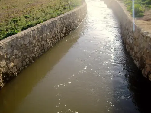 Rios073a-Arroyo-Alarconcillo-en-Ossa-de-Montiel