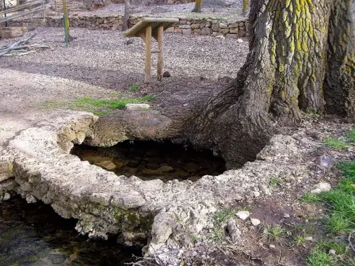 Rios074-Rio-del-Ojuelo-Fuentes-del-Guadiana-Viveros