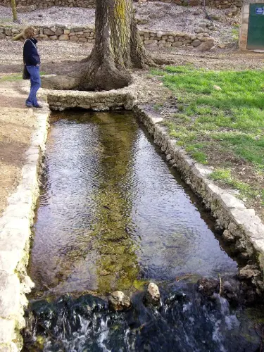 Rios075-Rio-del-Ojuelo-Fuentes-del-Guadiana-Viveros